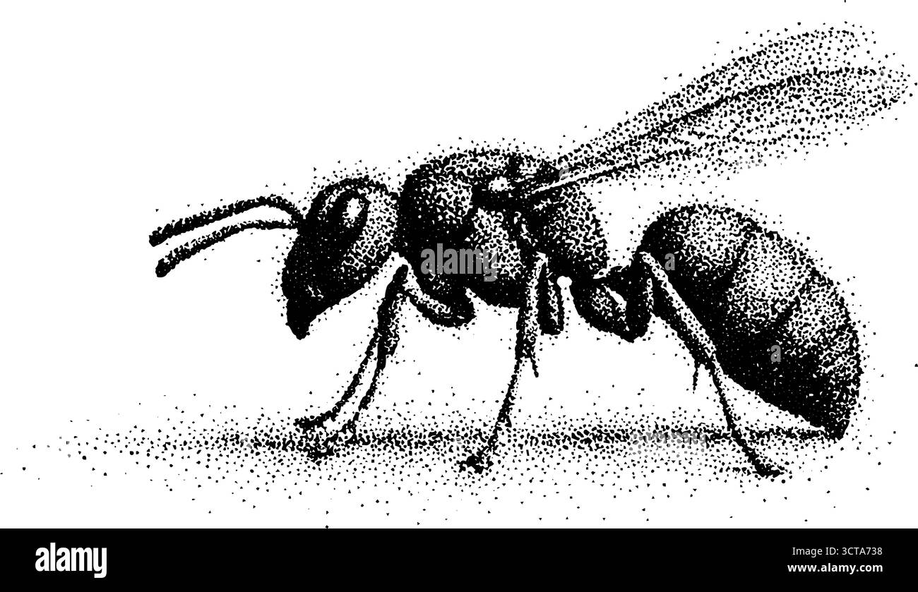 Komplizierte Dotwork-Illustration einer Wespe in Abwehrhaltung für Kunst und Design. Stock Vektor