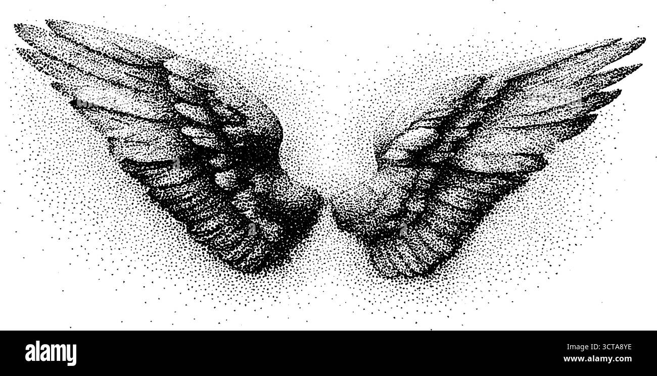 Kompliziertes Dotwork mit Engeln- und Dämonenflügeln – Kunst für spirituelle Themen und Druckdesign. Stock Vektor