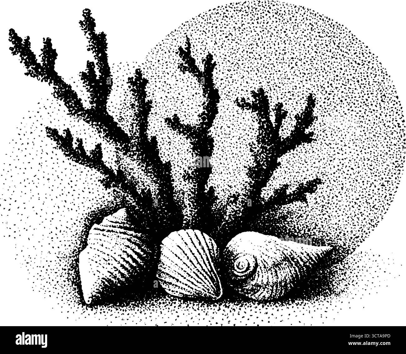 Komplexe Korallenzweige und Muscheln in Dotwork-Kunstwerken für Naturdesigns. Stock Vektor
