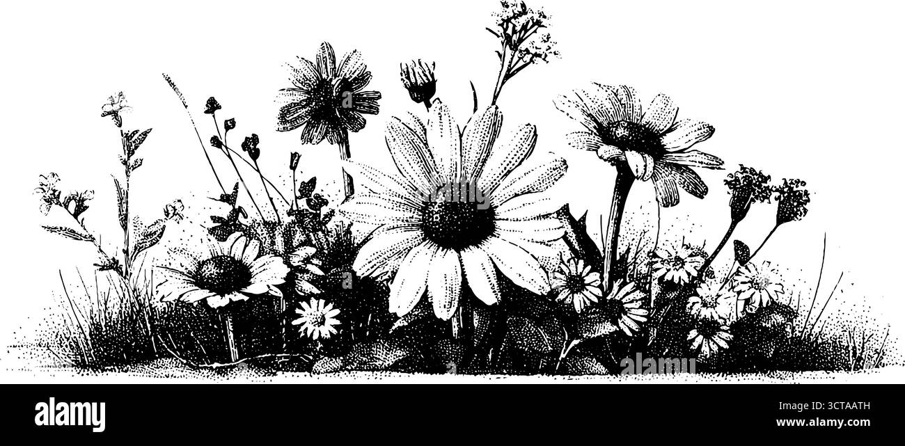 Kompliziertes Dotwork-Stippeln von Wiesenwildblumen für künstlerisches Design. Stock Vektor