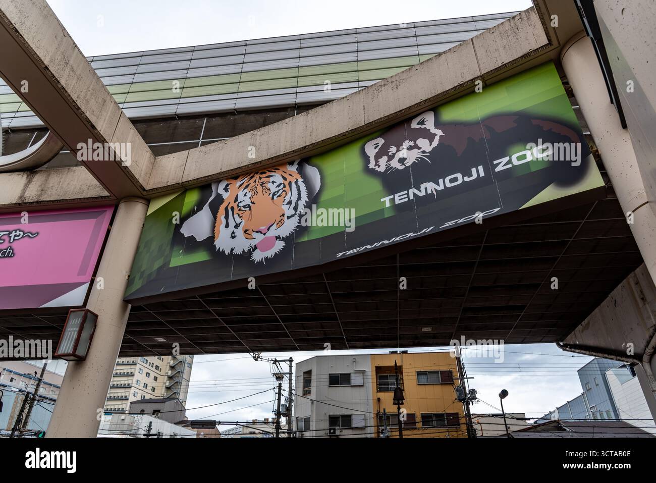 Ein großes Banner mit einem Tiger und einem roten Panda, das am 18. Februar 2024 für den Tennoji Zoo in Osaka, Japan, werben soll Stockfoto