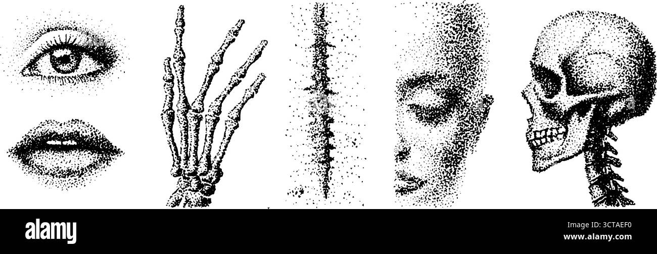 Komplizierte Dotwork-Stippeldarstellung von Gesichtszügen und skelettanatomischen Elementen. Stock Vektor
