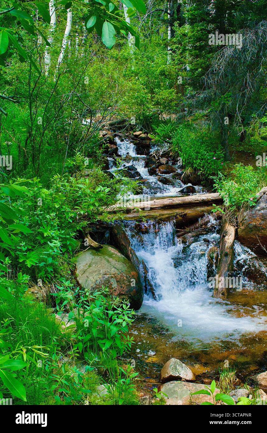 Schöner Fluss im Rocky Mountain National Park, Estes Park, Colorado. Sommerliche Einsamkeit auf einem friedlichen Flussweg in den Rocky Mountains. Stockfoto