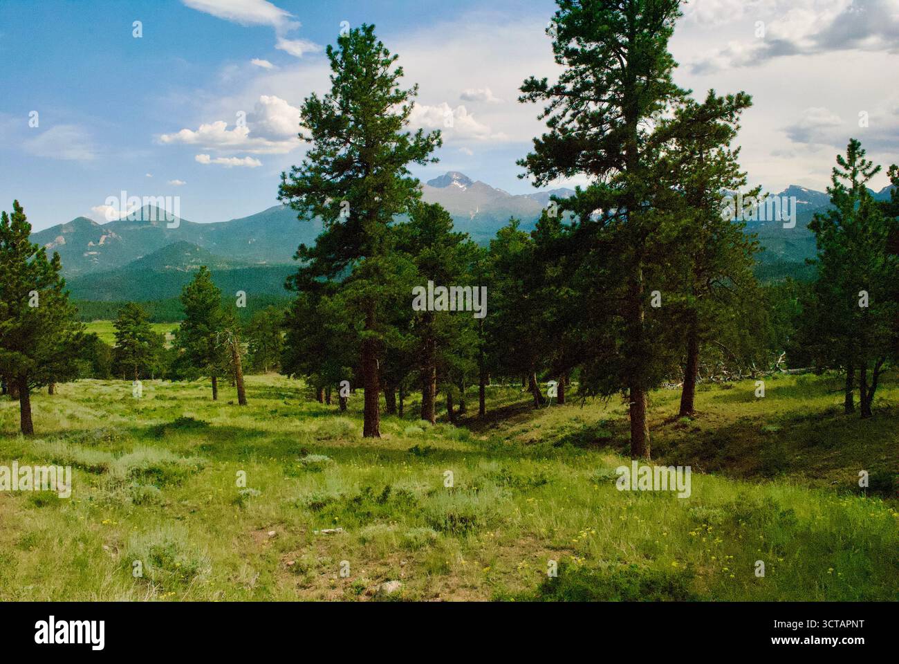 Majestätischer Longs Peak im Rocky Mountain National Park, Estes Park, Colorado. Ruhiger und friedlicher Weg mit wunderschönen Aussichten auf die Berge im Sommer. Stockfoto