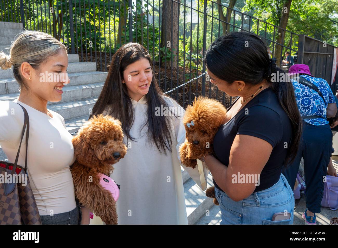 New York, New York, USA. Oktober 2025. (NEU) fest des hl. Franziskus Segen der Tiere im St. John Divine in New York. 5. Oktober 2025, New York, New York, USA: Geistliches Mitglied segnet Hunde beim Segen der Tiere in der Kathedrale von St. John the Divine am 5. Oktober 2025 in New York City. Zu Ehren des hl. Franz von Assisi, des Schutzpatrons der Tiere und der Umwelt, feiern Christen mit dem Segen der Tiere und dem Gebet. Quelle: ZUMA Press, Inc./Alamy Live News Stockfoto