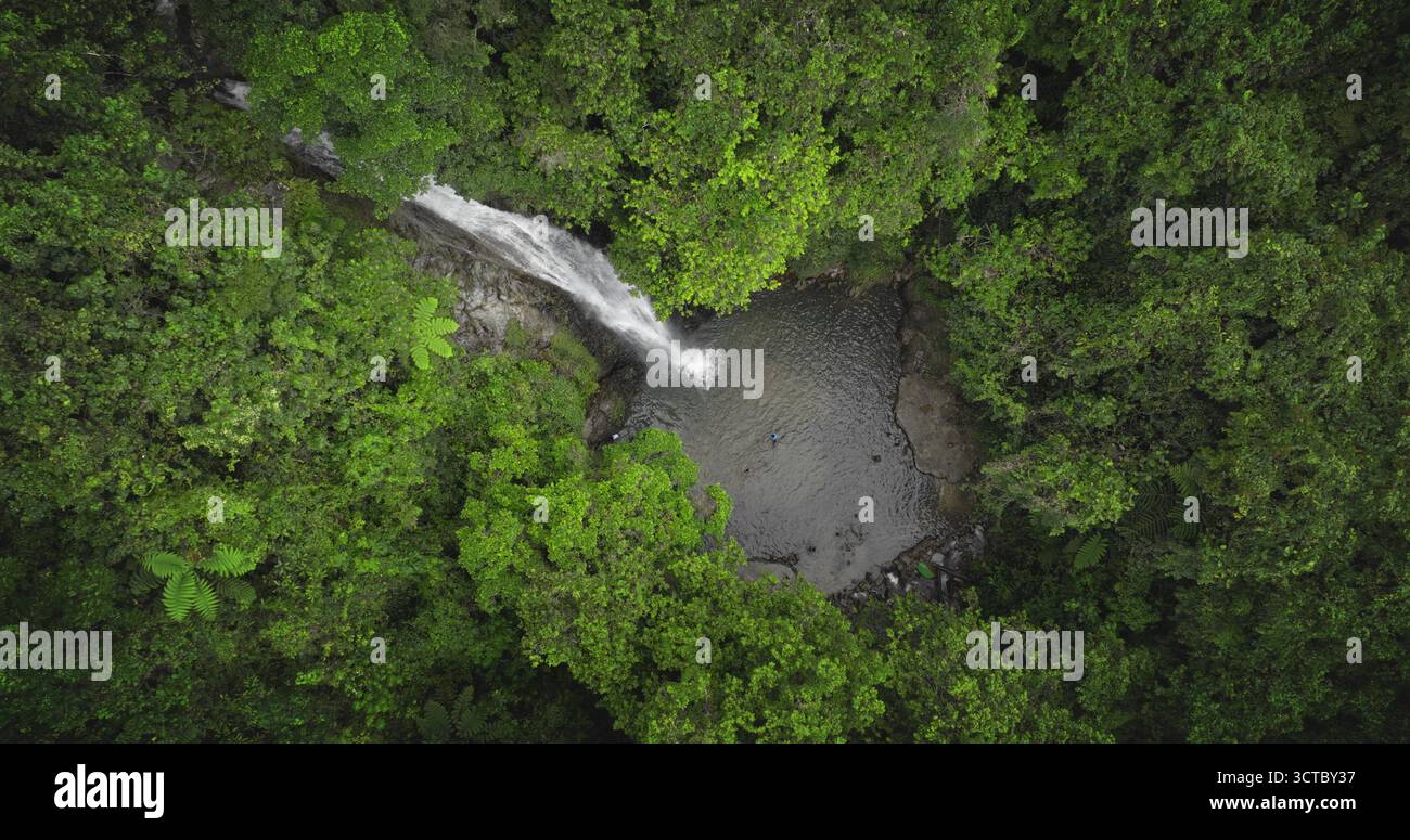 Fidschi, Nadi Wasserfall: Faszinierender Wasserfall, der in einen ruhigen Teich stürzt, umgeben von üppiger Dschungelvegetation. Atemberaubender Blick aus der Vogelperspektive auf die wilde Naturlandschaft. Drohnenflug verkleinern Stockfoto
