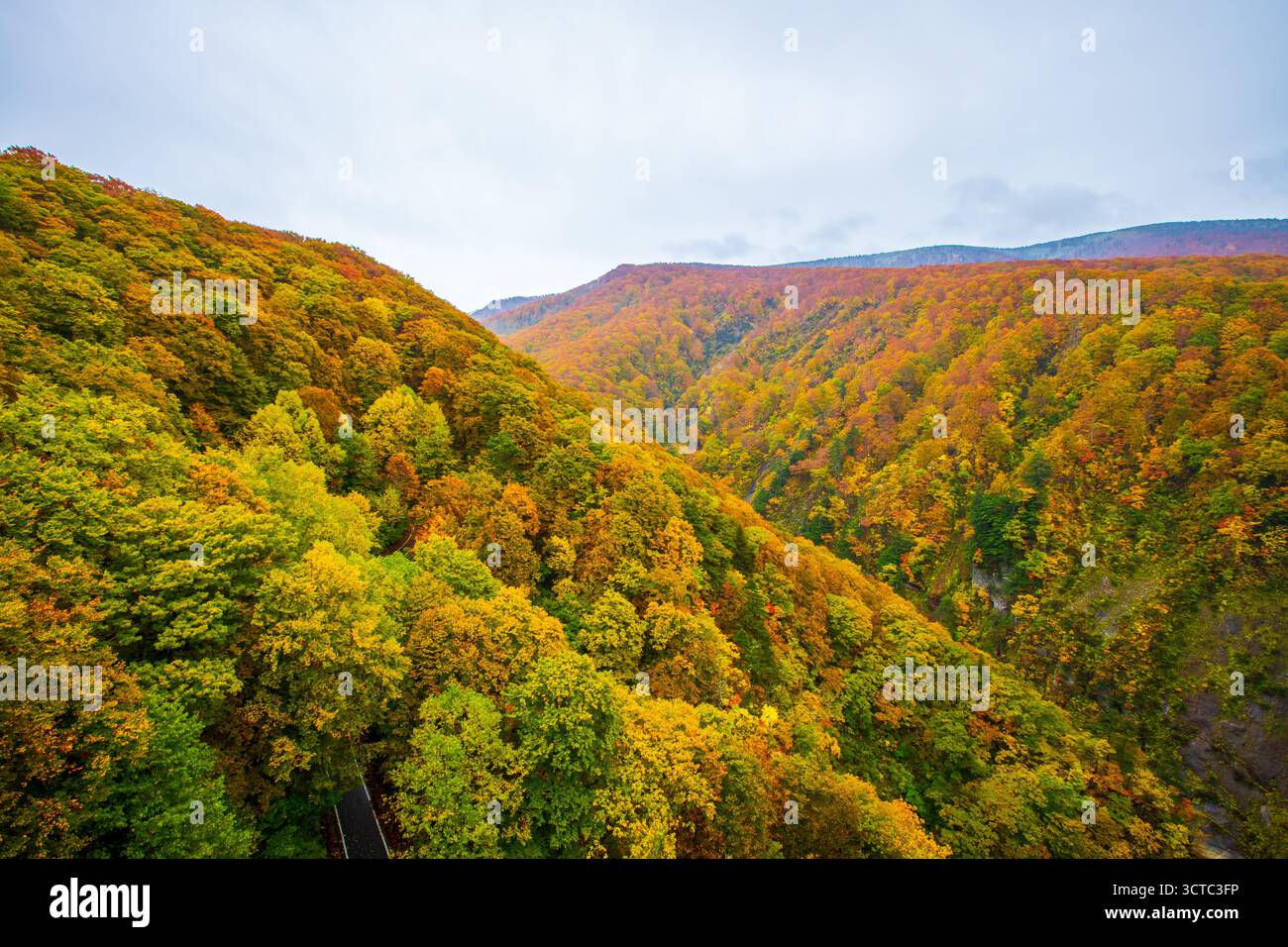 Herbstlaub an der Jogakura-Brücke in der Präfektur Aomori Stockfoto