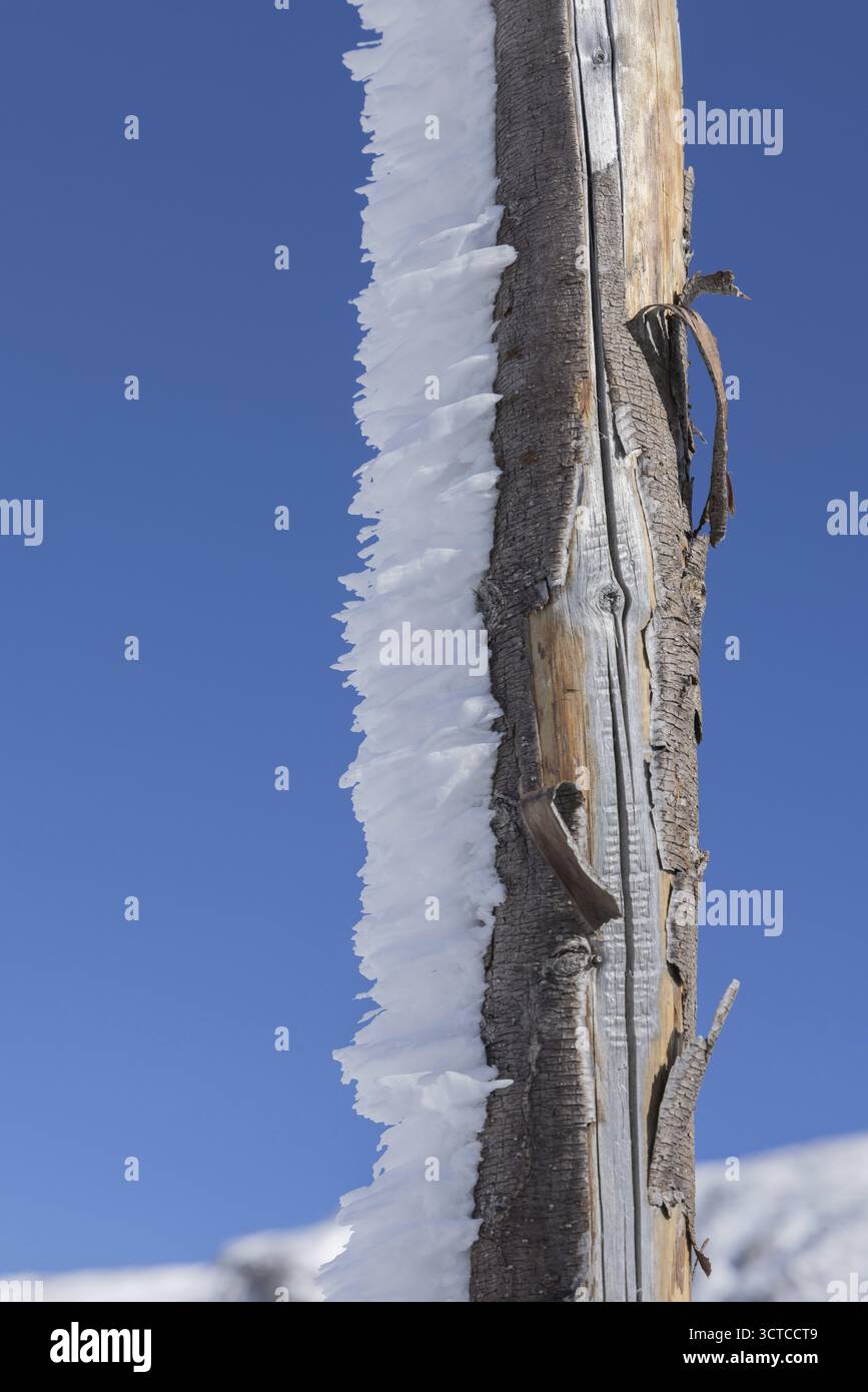 Landschaft, Schnee, Winter, Schneewehung, Kunst, Holzpfahl, Hochalpenstraße, Österreich Stockfoto