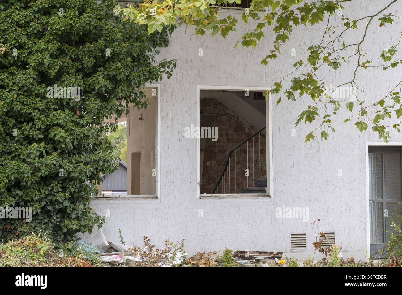 Zerbröckelnde Mauer eines verlassenen Hauses mit kaputten Fenstern und wachsendem Efeu Stockfoto