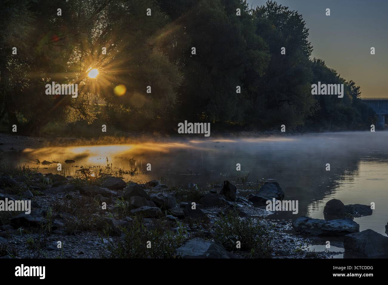 Der Sonnenaufgang beleuchtet die Donau und erzeugt einen magischen Nebeleffekt über dem Wasser. Grüne Bäume und große Steine am Ufer runden die Landschaft ab. Boge Stockfoto