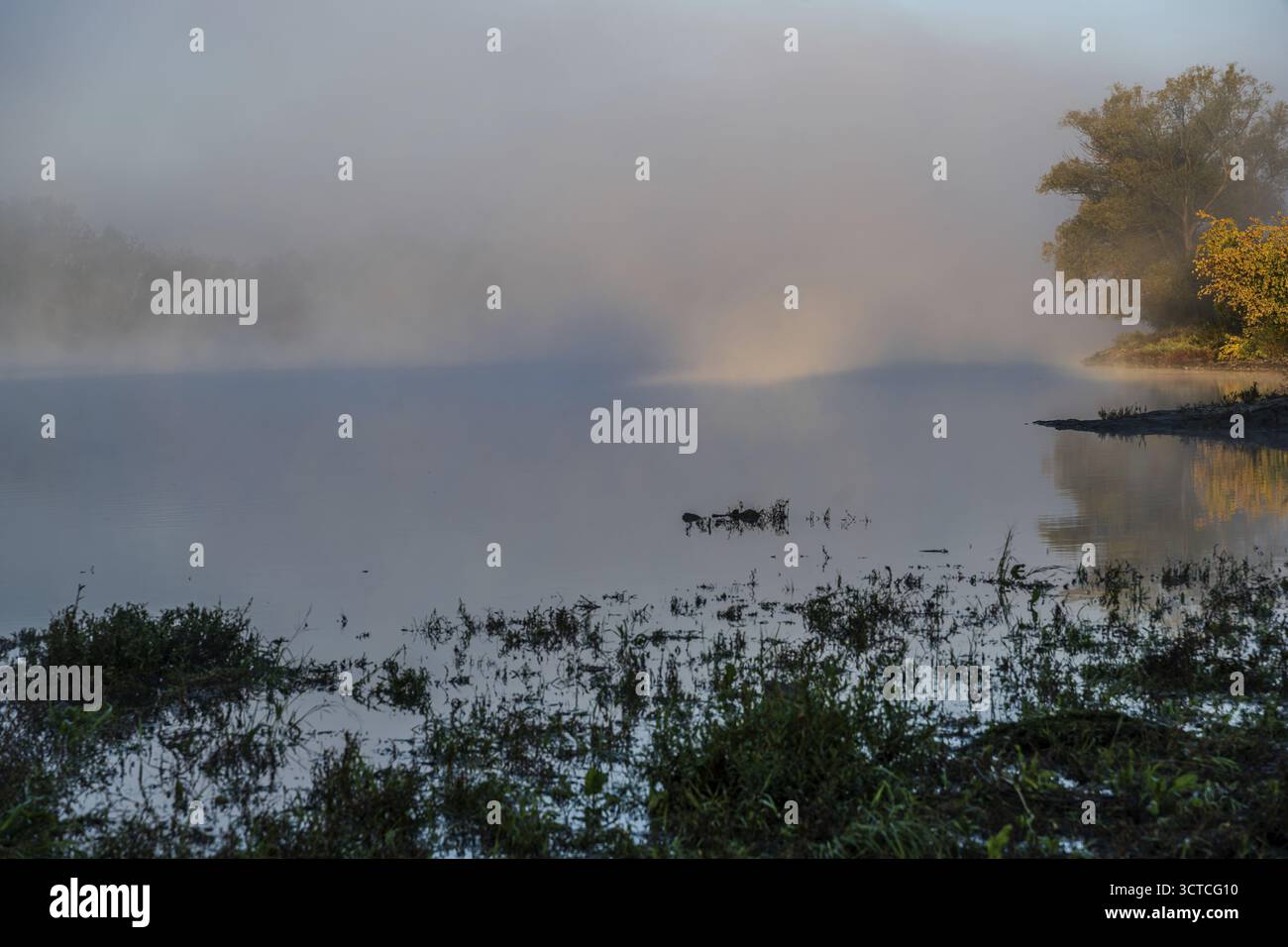In den Morgenstunden schweben sanfter Nebel über dem stillen Wasser. Die Landschaft wird von den ersten Sonnenstrahlen beleuchtet. Büsche und Bäume stehen in der Nähe Stockfoto