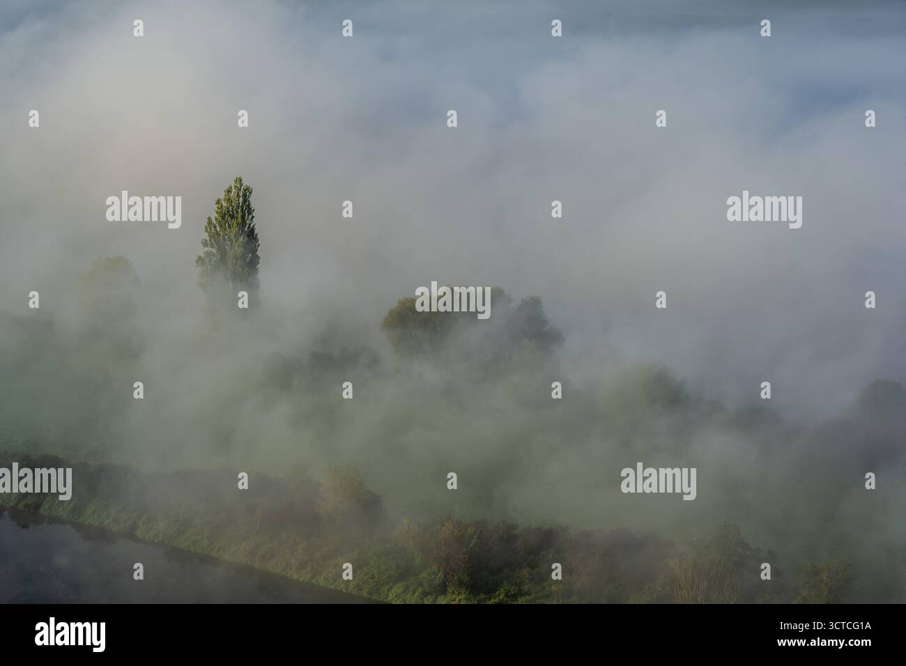 Der Nebel umhüllt sanft die Baumspitzen und schafft eine geheimnisvolle Atmosphäre. Die ruhige Donau verläuft durch die Landschaft. Es ist ein ruhiger Morgen. Bogen, Stockfoto