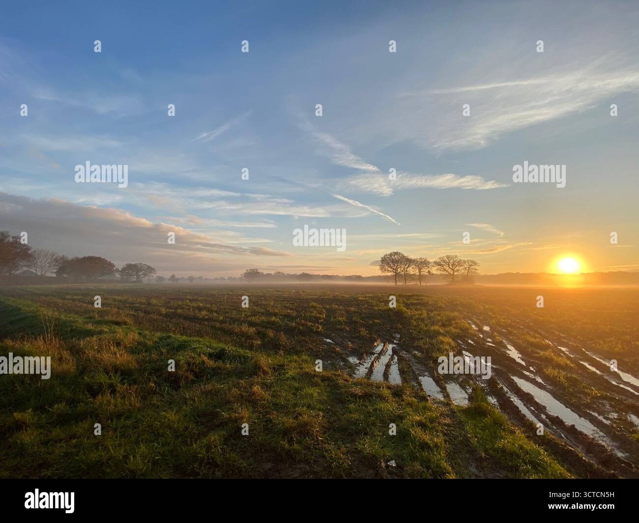 Eine friedliche ländliche Landschaft in Norfolk, England, mit einem weiten offenen Feld bei Sonnenuntergang mit ein paar weit entfernten Bäumen am Abendhimmel. - Smartphone-aufgenommenes Stockfoto