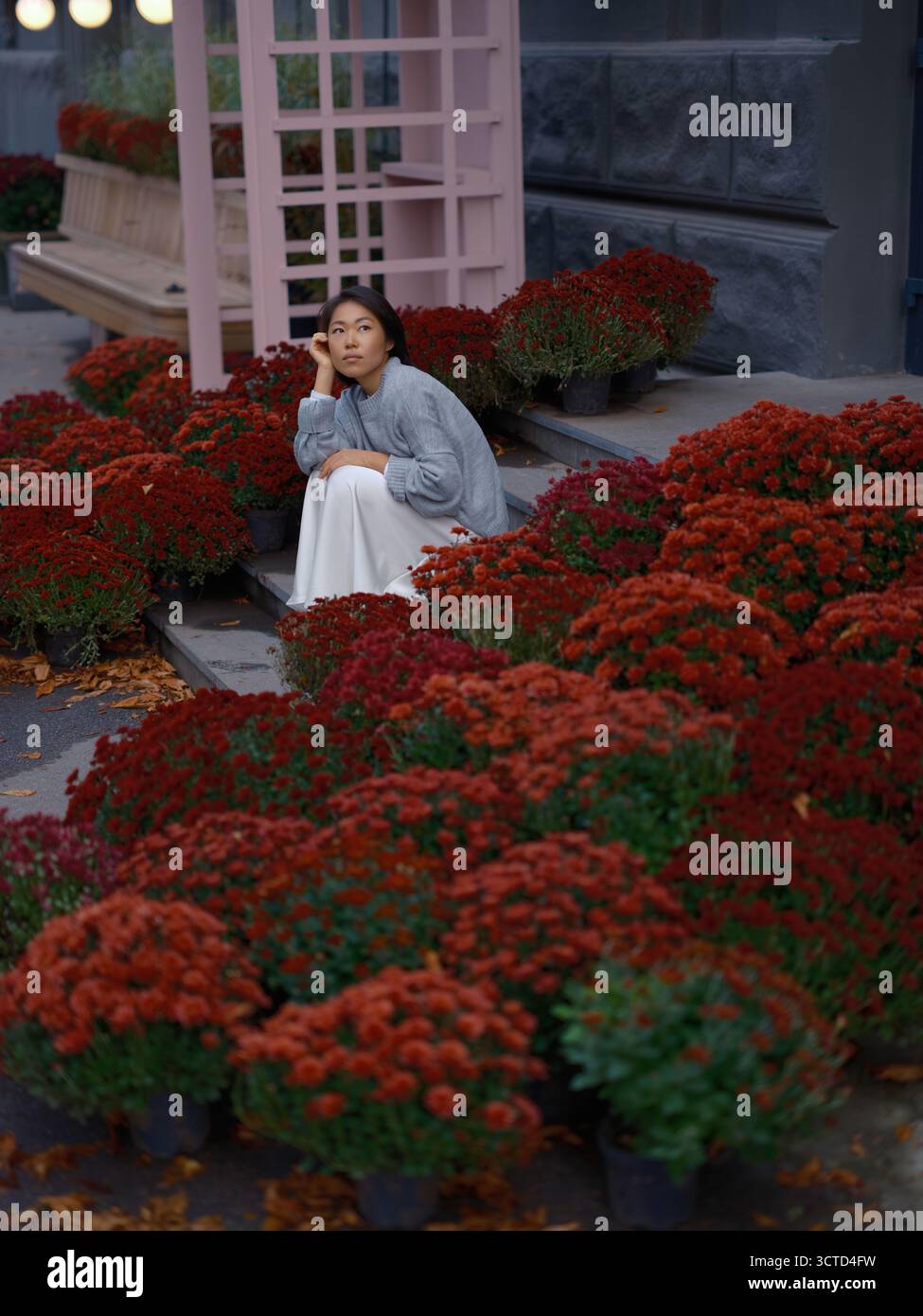 Schöne junge asiatische Frau, die auf der Treppe der Stadt sitzt, umgeben von roten Chrysanthemen. Modischer Herbst-Look mit leichtem Pullover und Rock. Pi Stockfoto