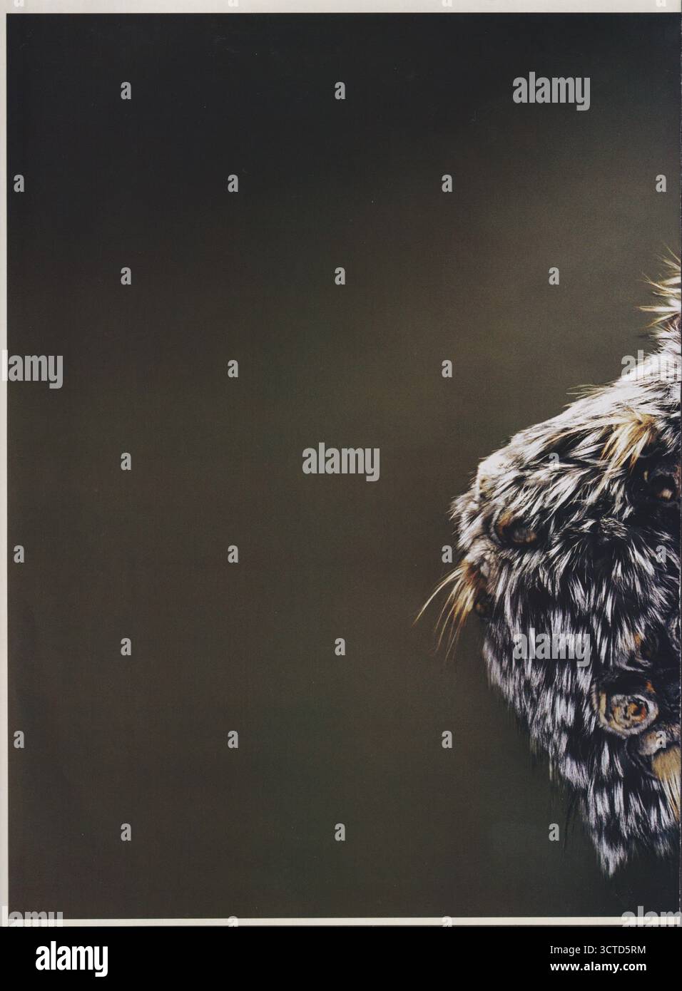 Plakatwerbung FENDI Modehaus mit Rie Rasmussen in Papiermagazin aus 2002 Jahren, Werbung, kreative FENDI-Werbung aus den 2000er Jahren Stockfoto