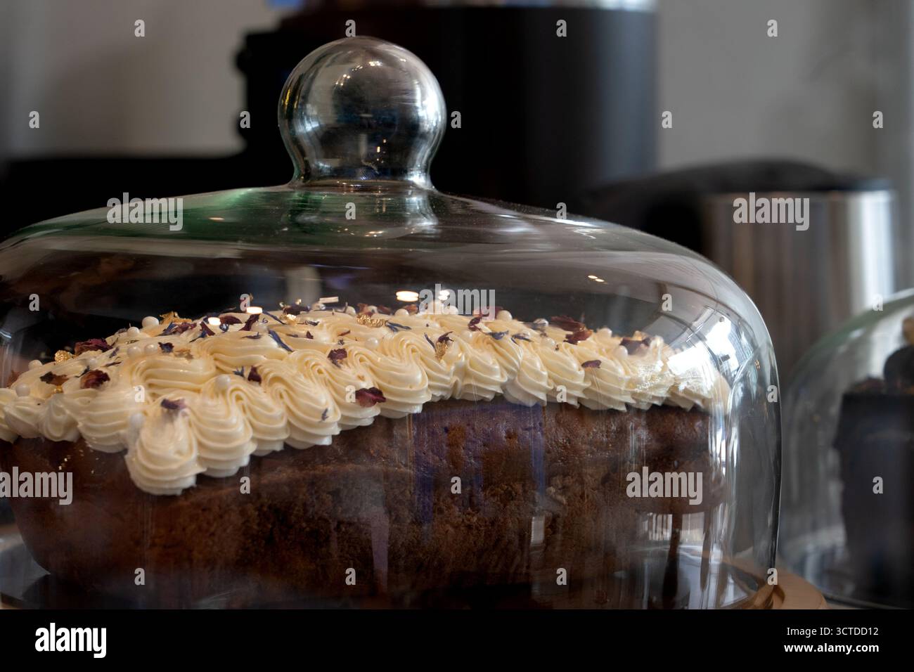 Ein wunderschön gefertigter rechteckiger Brotkuchen mit elegantem paspeliertem Zuckerguss, verziert mit zarten getrockneten Blütenblättern und glänzendem, essbarem Gold f Stockfoto