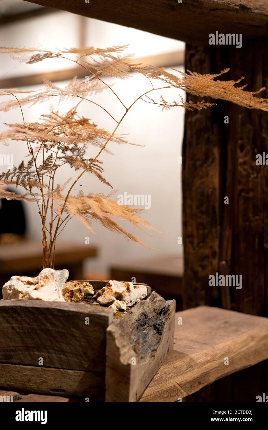 Zartes, getrocknetes Laub in rustikalen Holztopf mit natürlichen Texturen, Erdtönen und minimalistischer botanischer Inneneinrichtung. Stockfoto