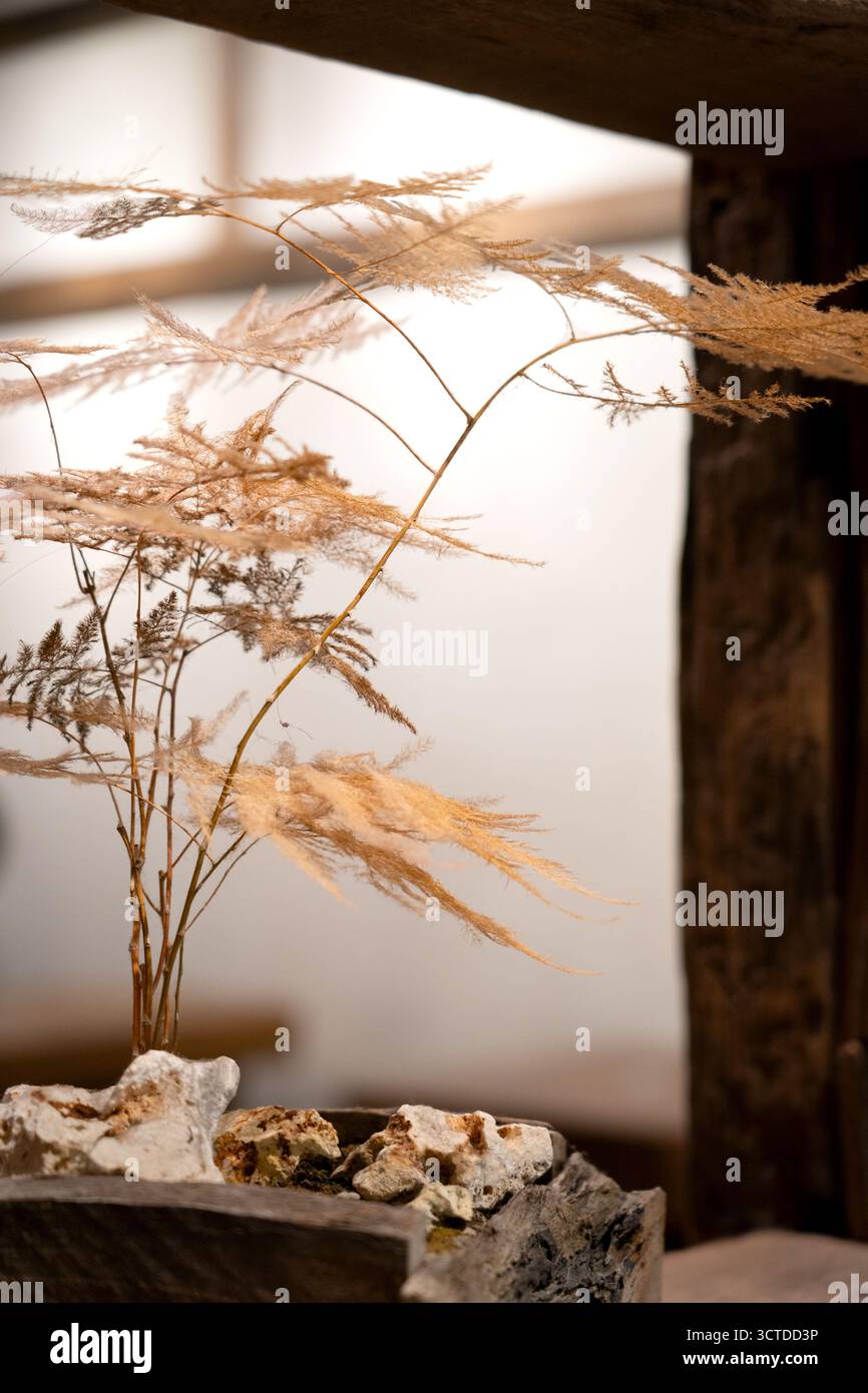 Zartes, getrocknetes Laub in rustikalen Holztopf mit natürlichen Texturen, Erdtönen und minimalistischer botanischer Inneneinrichtung. Stockfoto