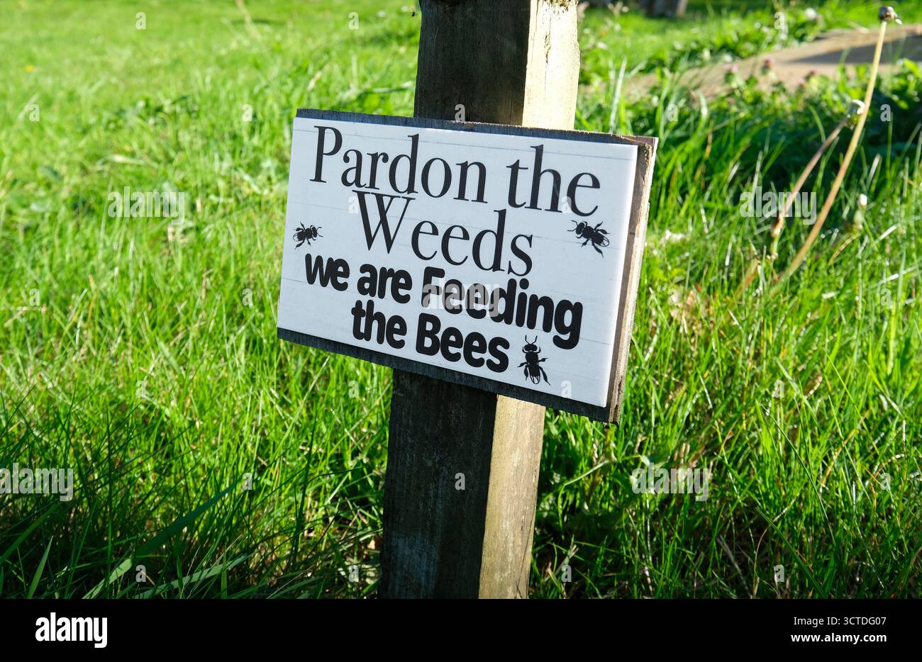 Verzeihen Sie das Unkraut, das wir füttern, das Schild in Churchyard, melton Constable, Nord-norfolk, england Stockfoto
