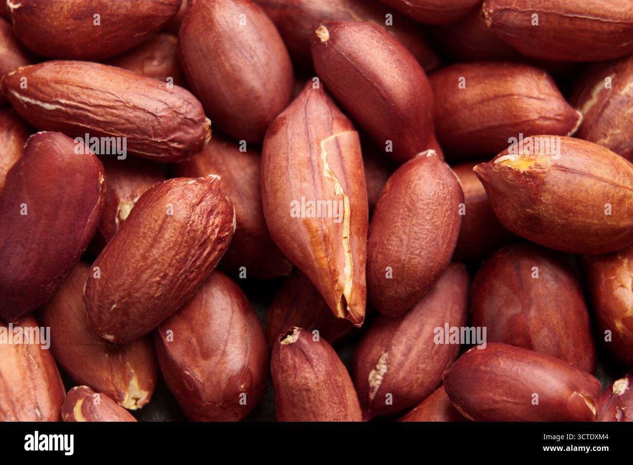 Schalige Erdnüsse in brauner Haut. Draufsicht. Makro. Stockfoto