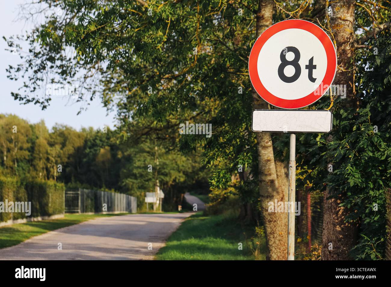 Verkehrsschild mit einer Gewichtsgrenze von 8 Tonnen auf der Vorortstraße. Verkehrssicherheit und Verkehrsregulierungskonzept. Warnsymbol an sonnigen Tagen mit Bäumen. Stockfoto