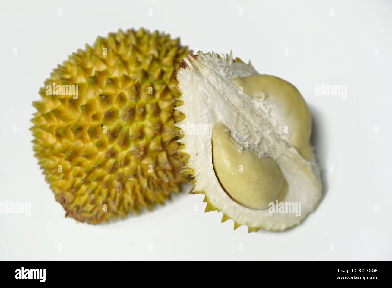 Reife Durian-Hälfte mit weichem gelbem Fleisch auf weißem Hintergrund. Stockfoto