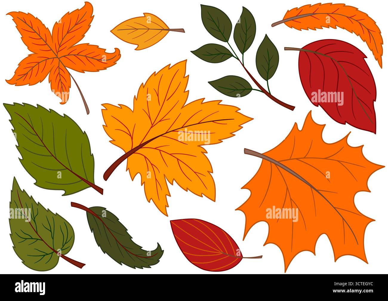 Herbstlaub. Satz von farbigen Illustrationen im Stil der Handzeichnung. Design für Postkarten, Flyer, Banner, Raumdekoration. Symbole, Schilder, Aufkleber, PIN-Protokoll Stock Vektor