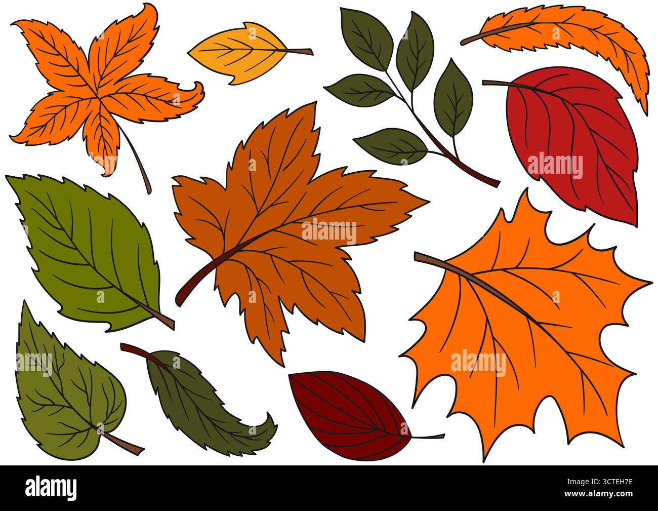 Herbstlaub. Satz von farbigen Illustrationen im Stil der Handzeichnung. Schwarze Kontur. Design für Postkarten, Flyer, Banner, Raumdekoration. Symbole, Zeichen, sti Stock Vektor