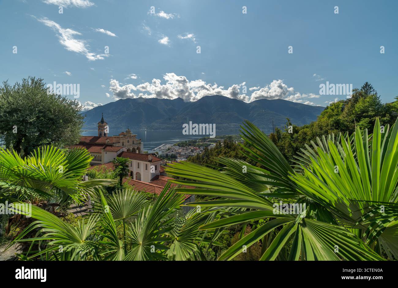 Sommer sonniger heißer Tag mit grünen Pflanzen und blauem Himmel in Locarno Schweiz 09 11 2025 Stockfoto