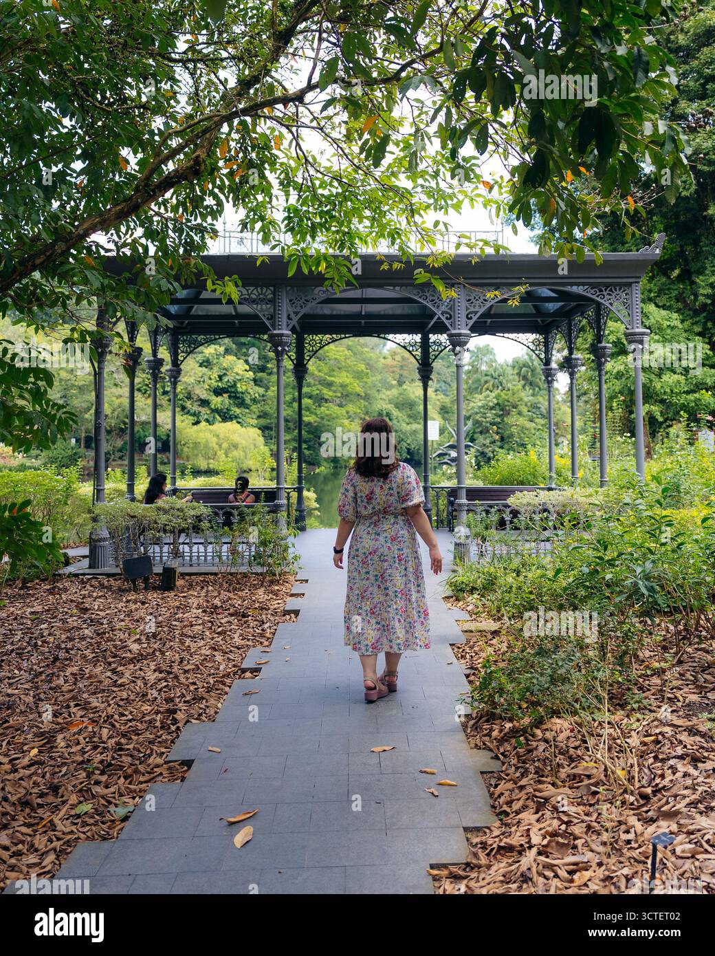 Singapur, Singapur - 09. April 2024: Blick auf eine Frau, die in Richtung des eleganten Pavillons im üppigen, ruhigen Botanischen Garten von Singapur schlendert, umgeben von grünen Bäumen und verflecktem Sonnenlicht. Stockfoto