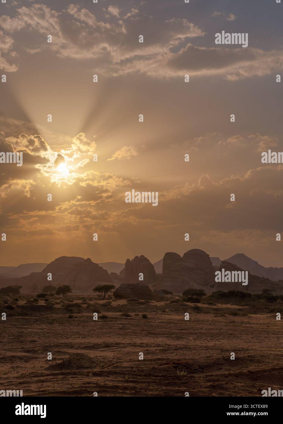 Typische Landschaft in der Region Alula in der Nähe von Hegra Mada'in Salih, kurz vor Sonnenuntergang - sandige, trockene Wüste mit wenigen Bäumen und kleine berge Stockfoto