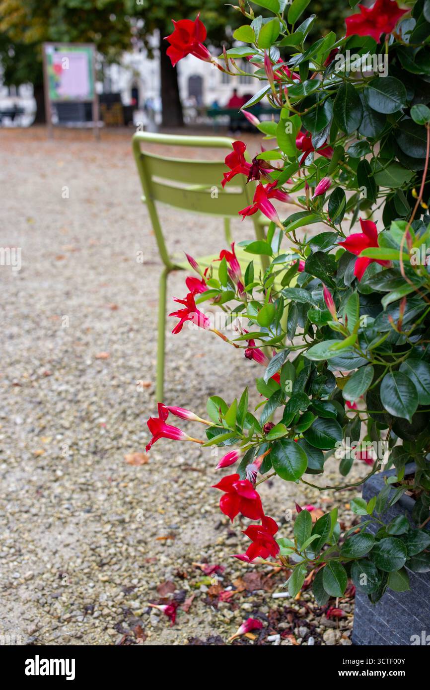 Park in Brügge, Belgien - 17. Oktober 2022 Stockfoto