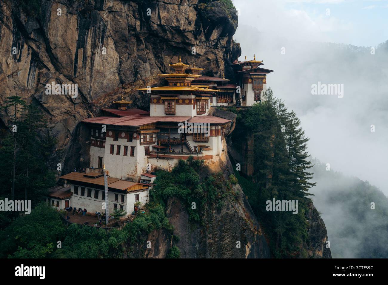 Blick auf das Kloster Tiger's Nest, das sich an einer steilen Klippe festhält, ein Zeugnis für architektonische und spirituelle Hingabe, inmitten nebeliger Gipfel, Paro, Bhutan. Stockfoto
