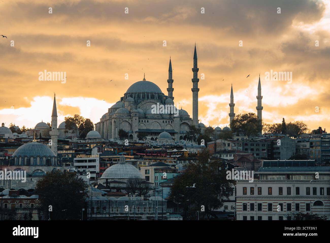 Blick auf die majestätische Süleymaniye-Moschee vor einem Hintergrund von warmem, bernsteinfarbenem Himmel und verstreuten Vögeln, die die architektonische Brillanz Istanbuls demonstrieren Stockfoto