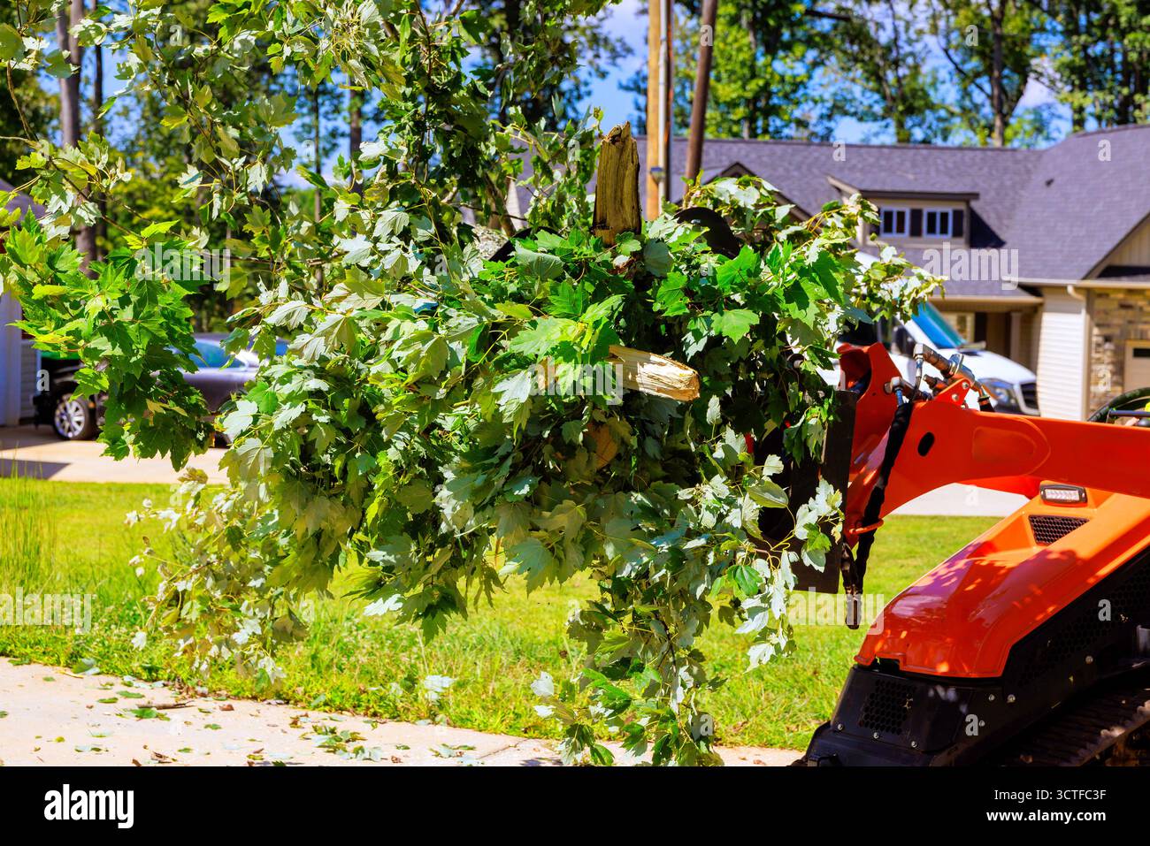Raupenfahrwerk sammelt Äste während der Arbeit im Vorort mit Häusern nach Sturm Stockfoto