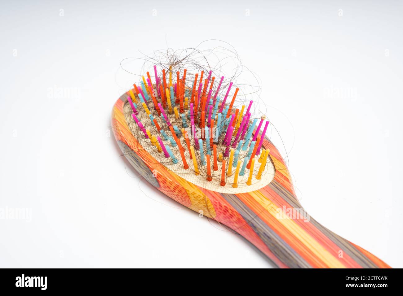 Bunte Haarbürste mit losen Haarsträhnen, die in Borsten verwickelt sind, auf isoliertem weißem Hintergrund. Nahaufnahme einer Holzbürste, die mit Abwurf gefüllt ist Stockfoto