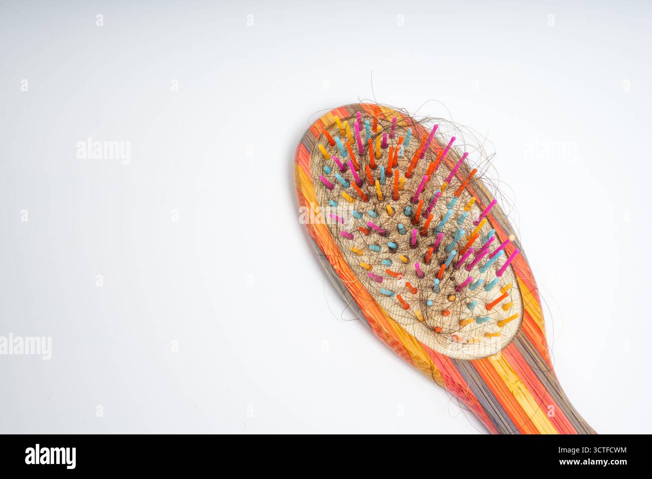 Bunte Haarbürste mit losen Haarsträhnen, die in Borsten verwickelt sind, auf isoliertem weißem Hintergrund. Nahaufnahme einer Holzbürste, die mit Abwurf gefüllt ist Stockfoto