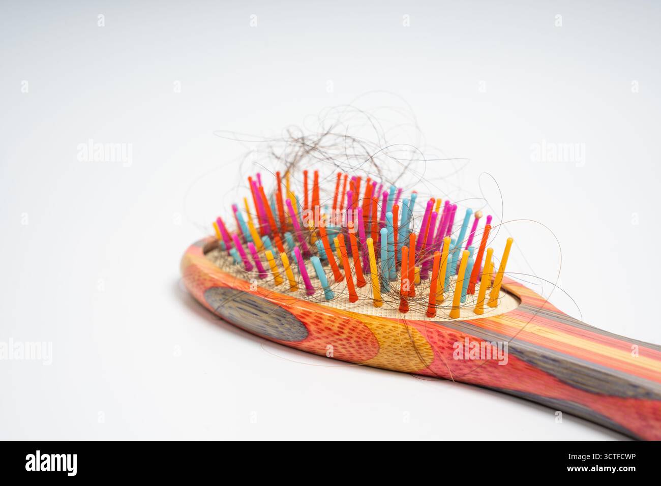 Bunte Haarbürste mit losen Haarsträhnen, die in Borsten verwickelt sind, auf isoliertem weißem Hintergrund. Nahaufnahme einer Holzbürste, die mit Abwurf gefüllt ist Stockfoto