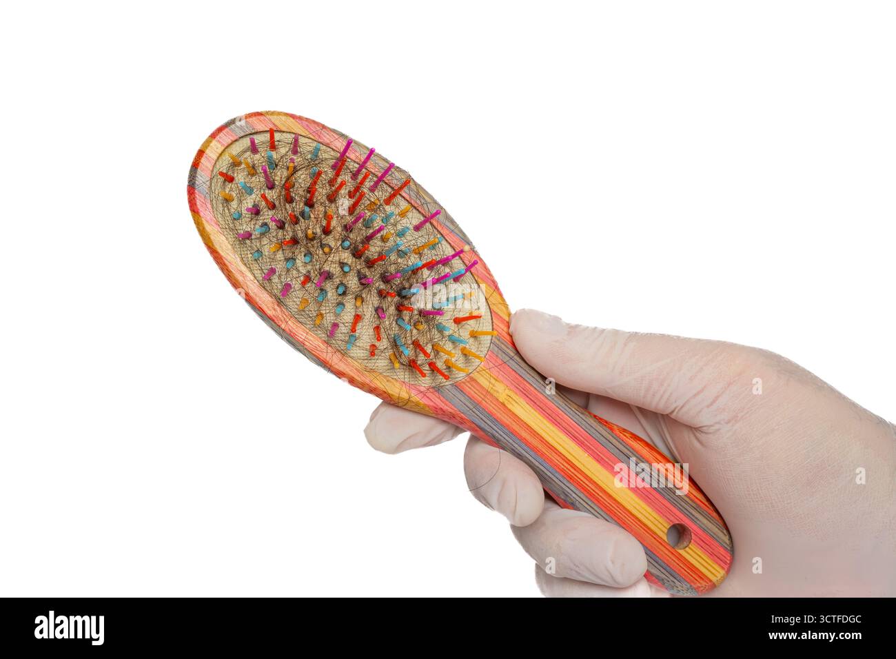 Hand mit Handschuhen, die bunte Haarbürste mit losen Haarsträhnen in Borsten auf isoliertem weißem Hintergrund hält. Pflege, Pflegeprobleme Stockfoto