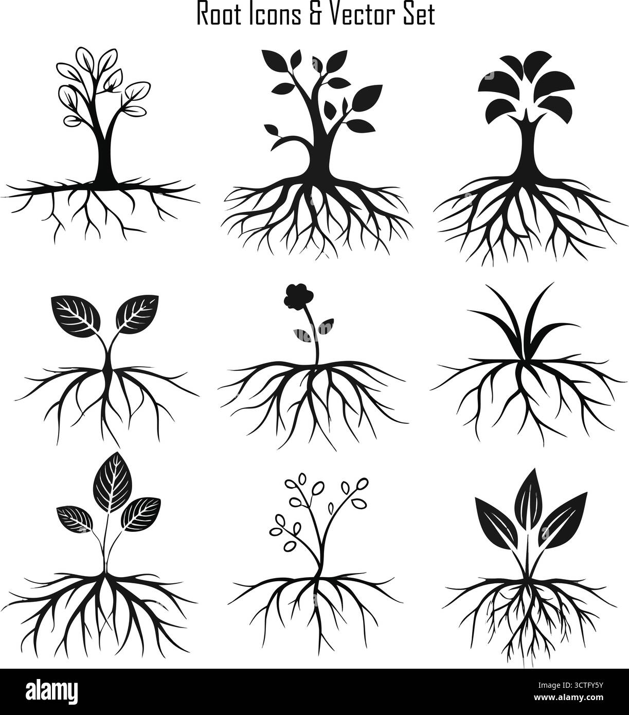 Root Vector Illustration – Plant Root System Design, Growth und Nature Concept Stock Vektor