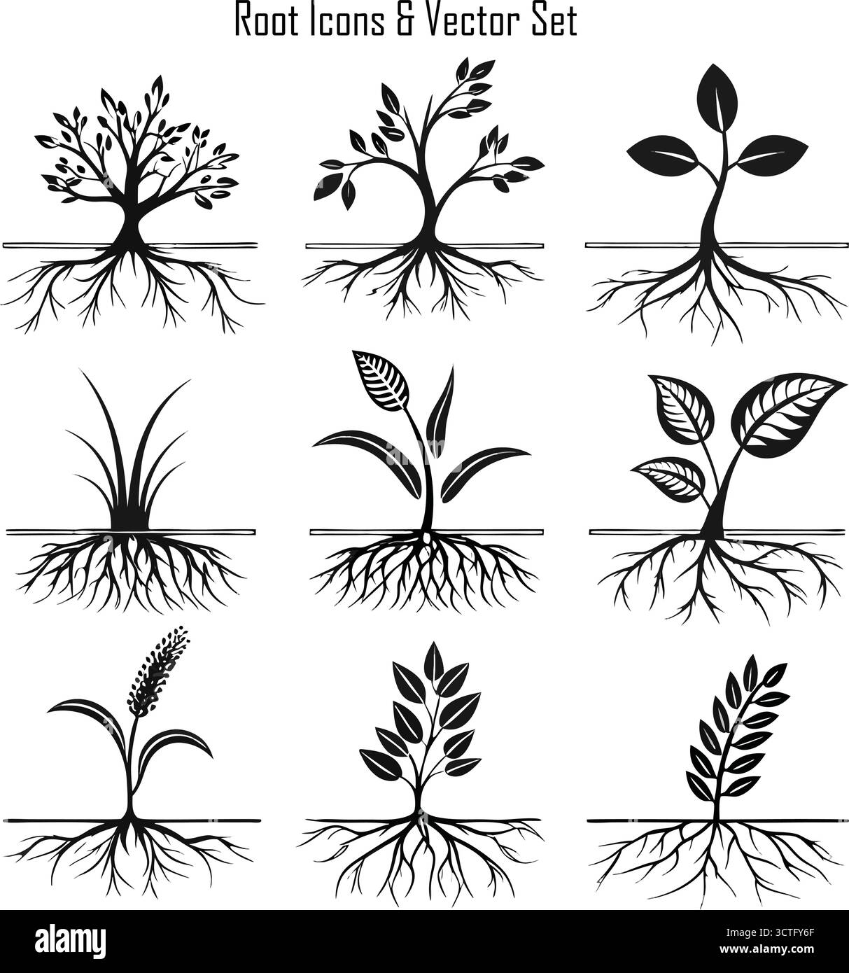Root Vector Illustration – Plant Root System Design, Growth und Nature Concept Stock Vektor