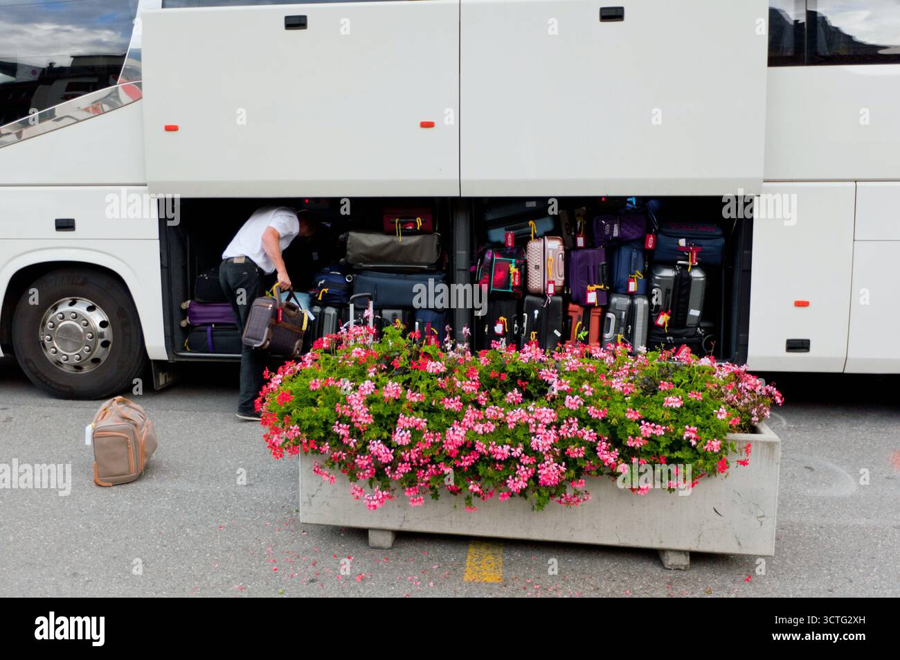 Grinewald ist ein wunderschönes Schweizer Urlaubsziel in der Nähe von Grindewald in der Jungfrau Region der Schweiz Stockfoto