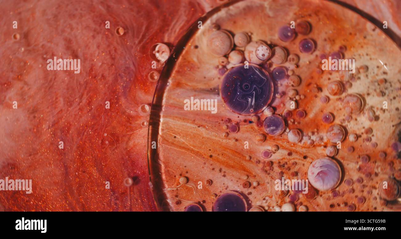 Ölflüssigkeit. Farbblasen. Defokussierter orangefarbener, violetter, glitzernder, runder Tuschenkreis auf abstraktem Acrylhintergrund. Stockfoto