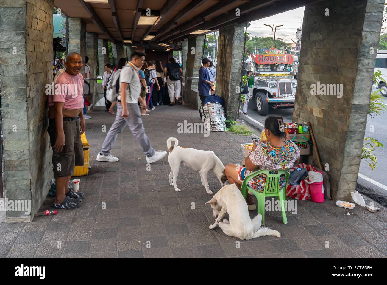 Weibliche Straßenverkäuferin, Frau mit zwei Hunden, die auf einem Fußgängerweg unter einer Brücke sitzen, Manila, Philippinen Stockfoto
