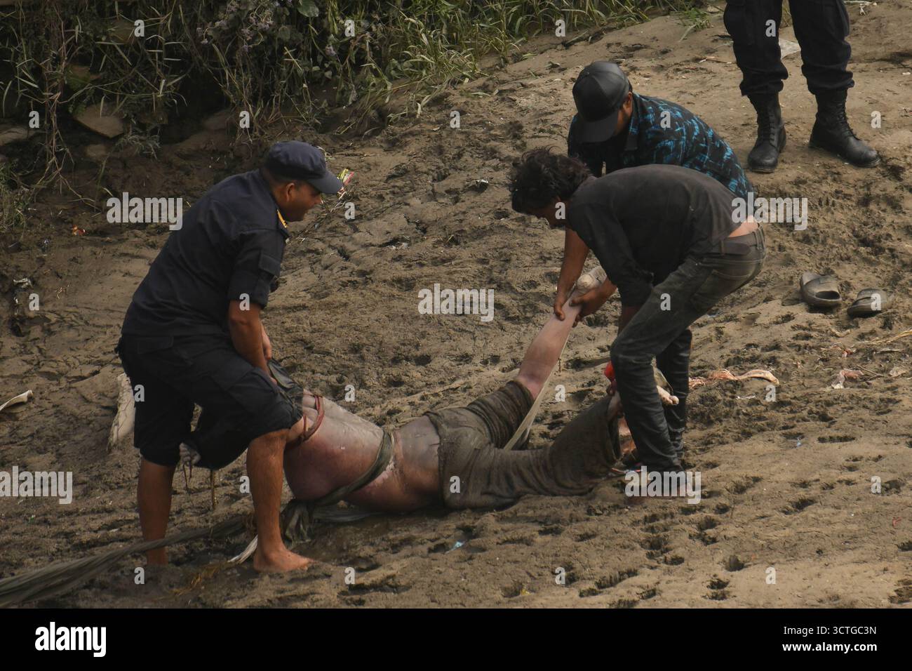 Kathmandu, Nepal. 7. Oktober 2025. Nepal Polizei und Einheimische haben am 7. Oktober 2025 eine unbekannte Leiche aus dem Zusammenfluss der Flüsse Bagmati und Bishnumati in Kathmandu nach schweren Regenfällen, die zu Überschwemmungen führten, gefunden. Steigende Wasserstände hatten Straßen, Häuser und Märkte in der Nähe gefährdet. Die Leiche wurde geborgen, als das Wasser zurückging. Untersuchungen über die Todesursache sind im Gange. Foto: Safal Prakash Shrestha Credit: Safal Prakash Shrestha/Alamy Live News Stockfoto