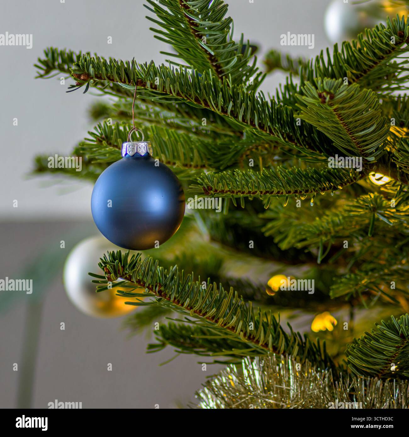 Glänzend blaue Weihnachtskugel hängt an Tannenzweigen. weihnachtsbaumdekoration Stockfoto
