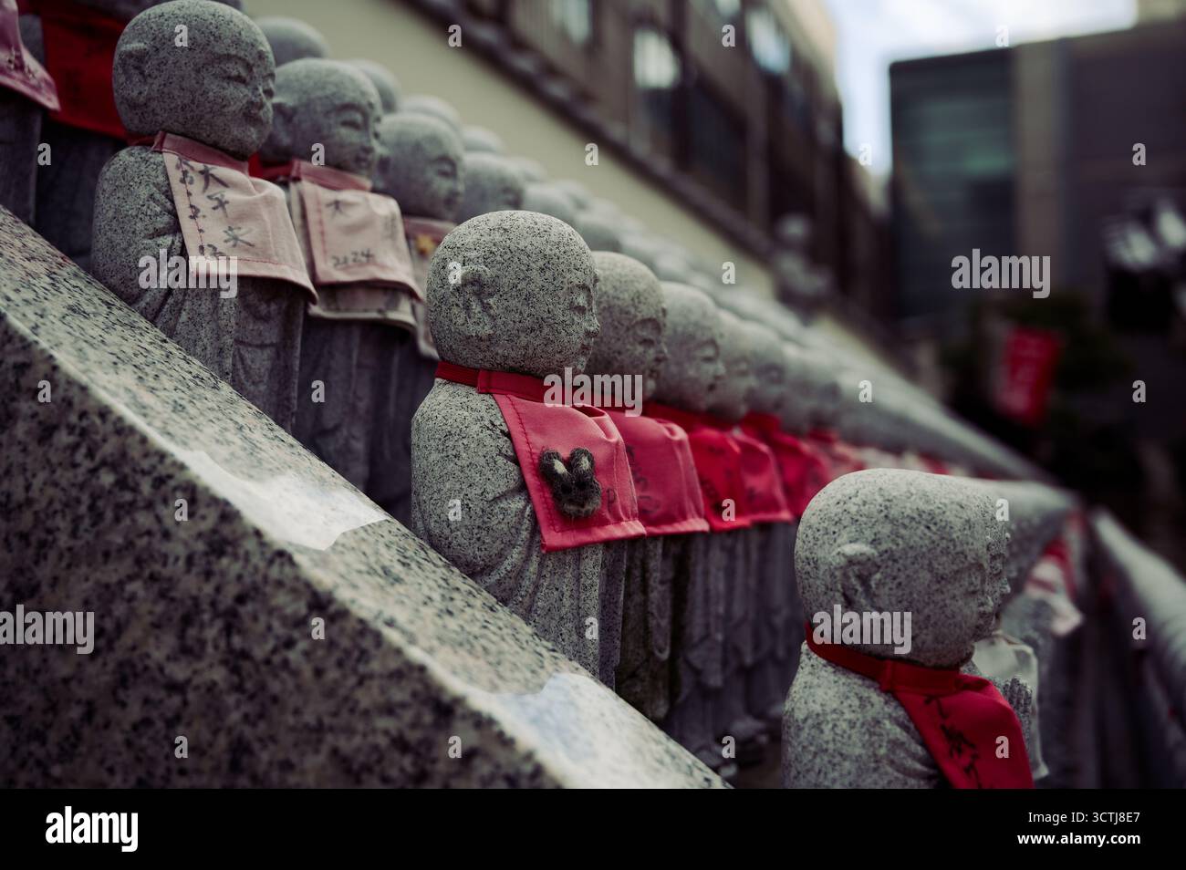 Reihen von Jizo-Steinstatuen mit roten Lätzchen stehen in stiller Harmonie entlang eines Tempelwegs in Osaka Stockfoto