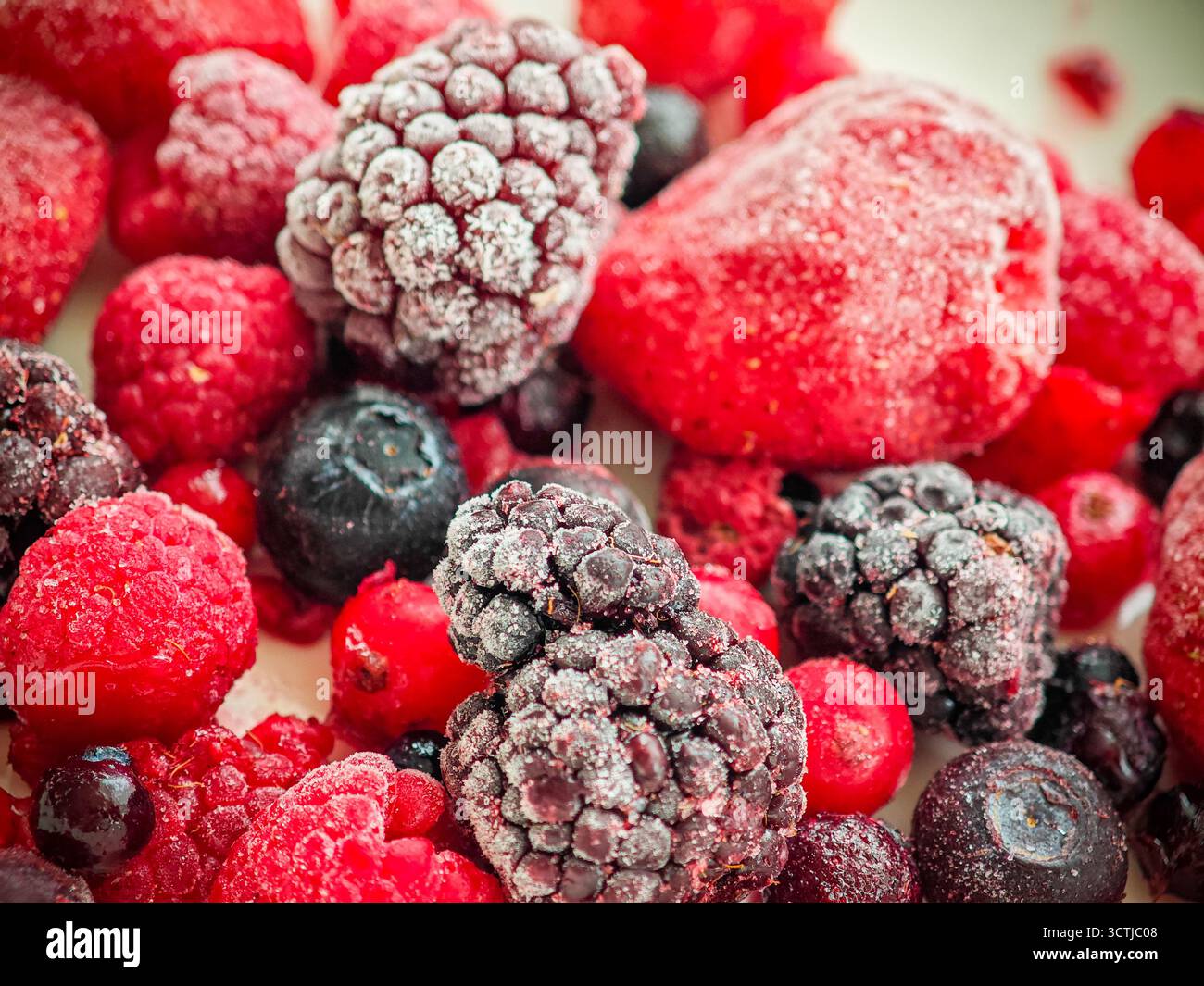 Eine Mischung aus gefrorenen Erdbeeren, Himbeeren, Brombeeren und Heidelbeeren wird auf einer hellen Oberfläche gezeigt, die ihre leuchtenden Farben und Eis zeigt Stockfoto