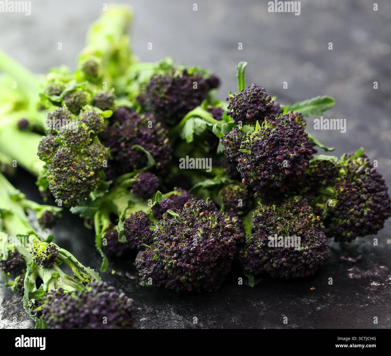 Nahaufnahme von frischem, violettem Brokkoli auf einer dunklen Steinoberfläche, aufgenommen in natürlichem Licht für gesunde Ernährung und Gourmet-Gemüsebilder. Stockfoto
