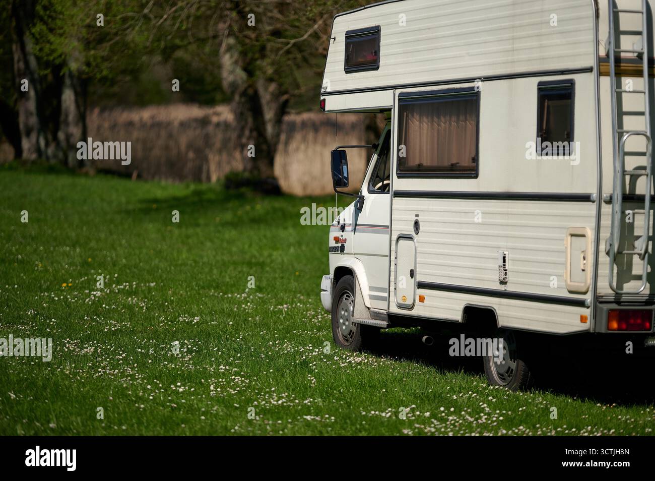 Hinterer Dreiviertelblick eines klassischen Peugeot J5 Turbo D Campers, der mittags auf einer grünen Wiese am Waldsee mit hellem Sonnenlicht und Sallo geparkt ist Stockfoto